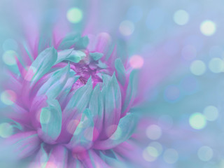turquoise-purple flower on the transparent  blue blurred background. Close-up. floral composition. floral background.  Nature.