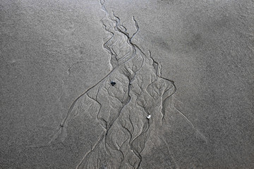 Sandlinien im Wattboden