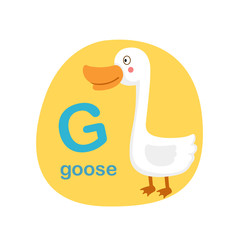 Illustration isolated alphabet letter g-goose vector illustration
