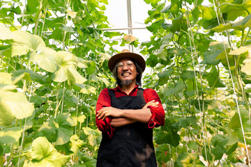 Senior middle aged male farmer having arms crossed with happy teethy smile wearing a straw hat in...