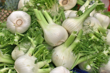 fresh vegetables,fennel,green,market,white,food