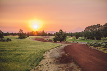 desert road at a fiery sunset
