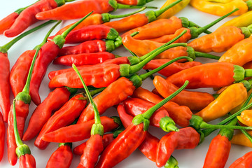 Chinese colorful millet pepper / small pepper