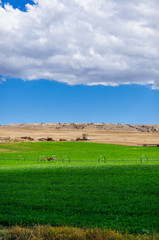 Obraz premium beautiful green grass on farm in countryside on sunny day with clouds