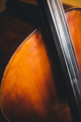 closeup of a bass cello