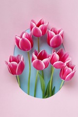 Flower card.Greeting card with pink tulips. Card with  flowers. Mothers Day. International Women's Day.top view, copy space.