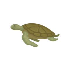 Turtle reptile animal side view vector Illustration on a white background