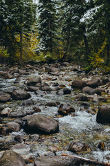 large boulders on stream with snow on trees