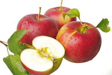 Red apples on white. Isolated on white