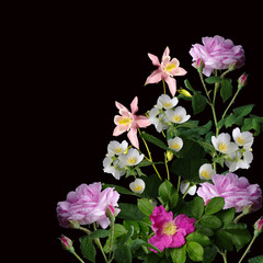 A bouquet of flowers on a black backgroundRoses, aquilegia, jasmine