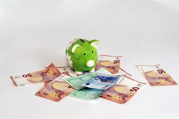 pig and money