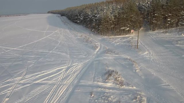winter pine forest in the snow with traces of ski tracks on a fine January day