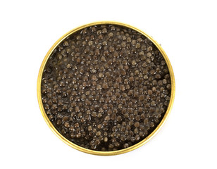 caviar in studio