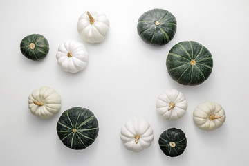 White and green pumpkins on a white background, creative flat lay thanksgiving concept, top view with copy space