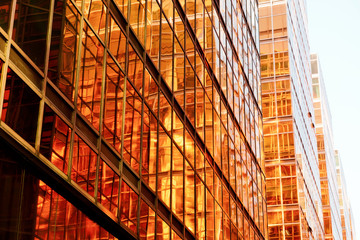 Modern glass skyscrapers perspective in the city