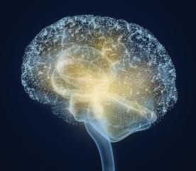 Human brain X-ray scan , Medically accurate 3D illustration