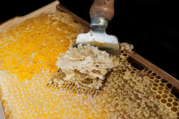 honeycomb with uncapping fork close up - honey harvest