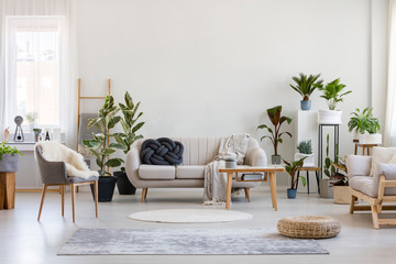 Urban jungle in bright living room interior with white couch with knot pillow and wooden furniture,...