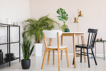 White and black chair at wooden table in dining room interior with plants and gold lamp. Real photo