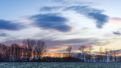 Fototapeta premium Rural scene on winter field in the rays of the setting sun. Landscape photography