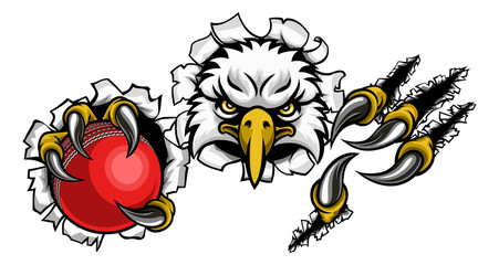 An eagle bird cricket sports mascot cartoon character ripping through the background holding a ball