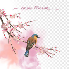 Fototapeta premium Watercolor Spring Blossom