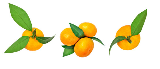 Set of tangerines with leaf and tangerine leaves isolated on white background.
