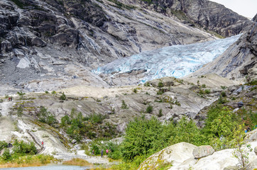 Distance view of the Nigardsbreen glacier with a wooden ladder in the foreground