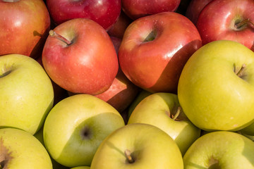 Golden Delicious and Gala apples
