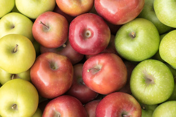 Golden Delicious, Gala and Granny Smith apples, Kisac, Serbia