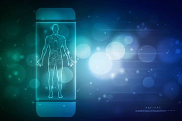 2d illustration Human Male Muscle Body
