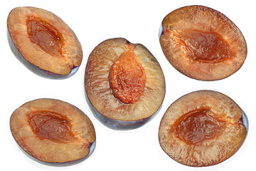 Blue plum fruit  on white