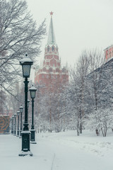 Kremlin tower, city park in the center of Moscow, winter cityscape