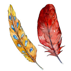 Watercolor orange and red bird feather from wing isolated. Watercolour drawing feathers background illustration element.