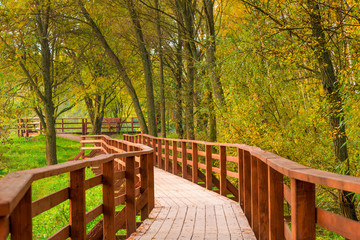 Beautiful autumn park with a wooden hiking trail