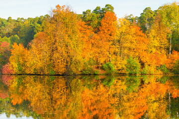 Obraz premium Beautiful bright autumn forest by the picturesque lake