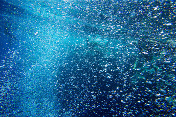 Tranquil underwater scene with copy space