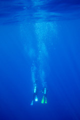 Tranquil underwater scene with copy space