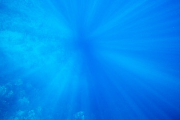 Tranquil underwater scene with copy space