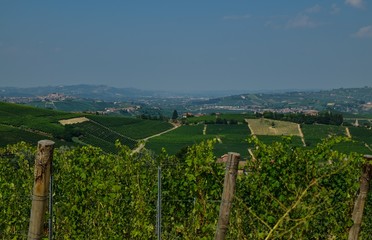 Fototapeta na wymiar La morra, Piedmont, Italy. July 2018. Outside the town, the magnificent vineyards. A glimpse of the beautiful countryside of the place.