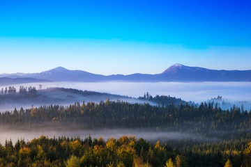 Carpathian mountain sunny landscape