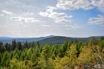Wald mit blick aufs Tal, Harz, Brocken, Bäume, baum, Wald, Natur, Hügel