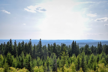Fototapeta na wymiar Wald mit blick aufs Tal, Harz, Brocken, Bäume, baum, Wald, Baumkronen