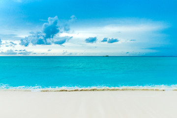 tropical Maldives island with white sandy beach and sea
