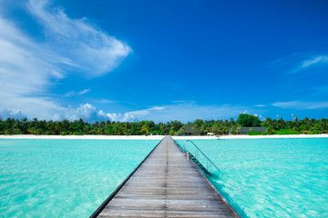 Fototapeta premium tropical Maldives island with white sandy beach and sea