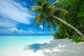 Poster de jardin Plage et mer île tropicale des Maldives avec plage de sable blanc et mer