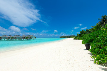tropical Maldives island with white sandy beach and sea