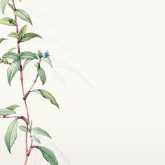 Green botanical leaves background design