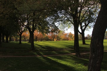 Indian Summer at Mount Royal, Quebec, Canada