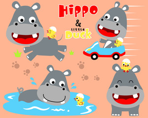 Vector set of hippo and duck cartoon